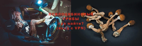 стафф Абинск