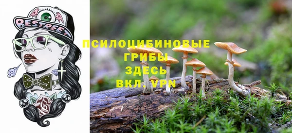 spice Абдулино