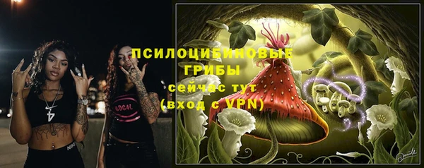 стафф Абинск