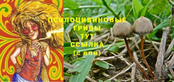 spice Абдулино